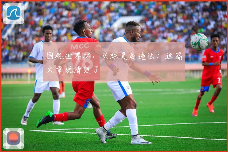 围观世界杯,买球是否违法?这篇文章说清楚了
